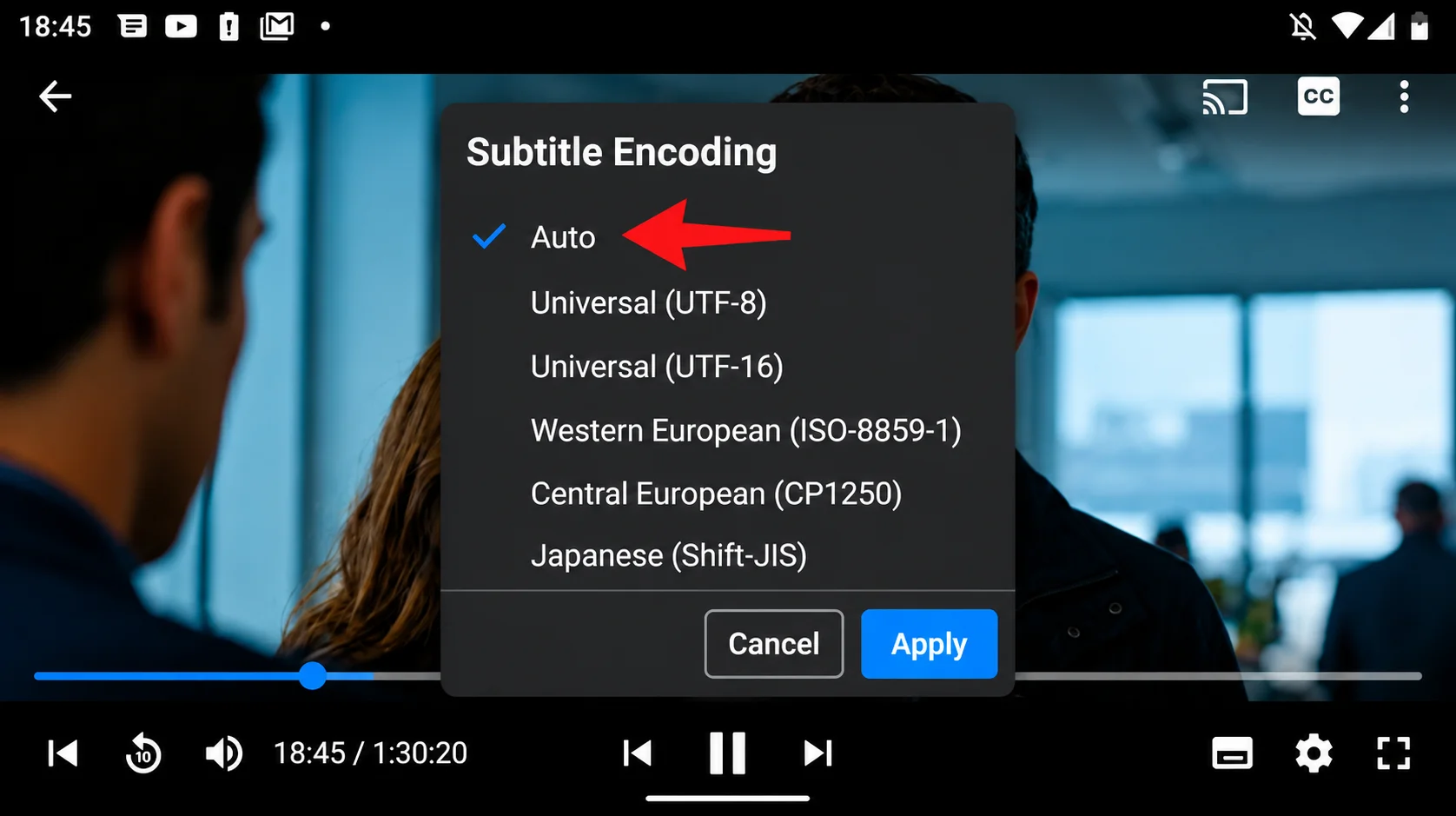 CloudStream subtitle encoding settings with Auto selected